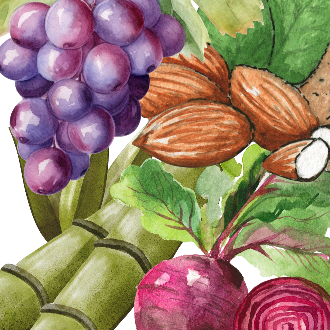 Alcuni frutti dai quali si estraggono gli alf e poli-idrossiacidi presenti alll'interno dei prodotti Active Pureness di Comfort Zone, linea studiata per pelli grasse, impure e acneiche