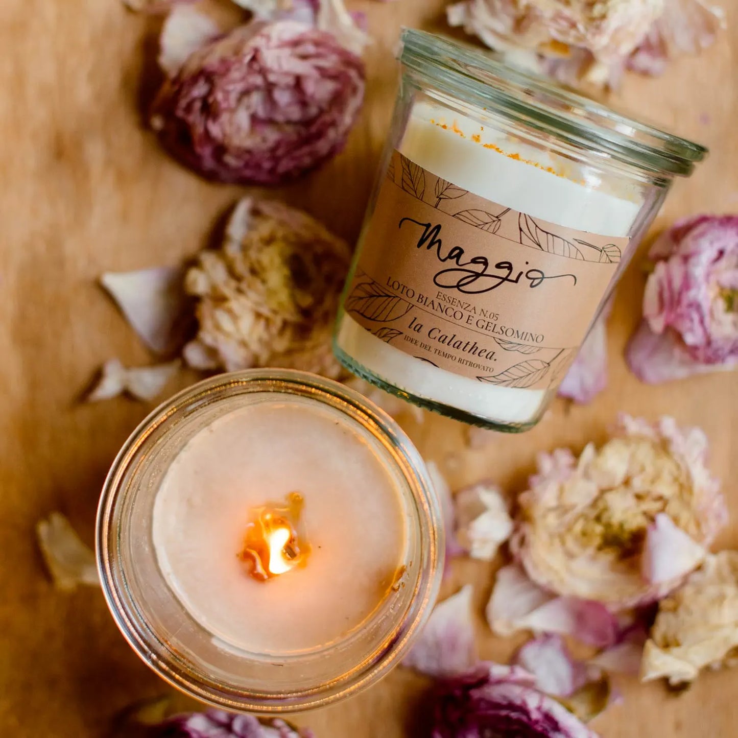 candela maggio la calathea