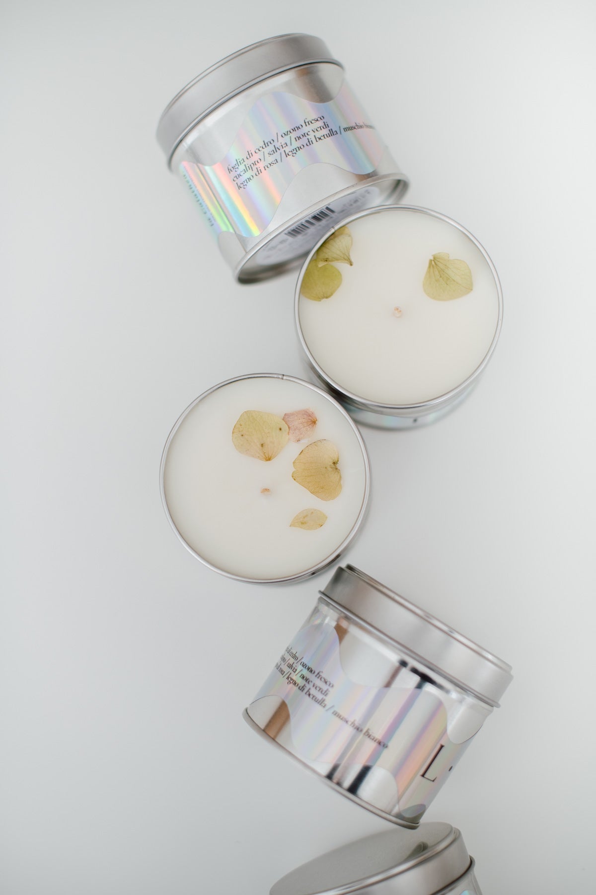 🕯️ Candela L • A • G • O – La Calathea