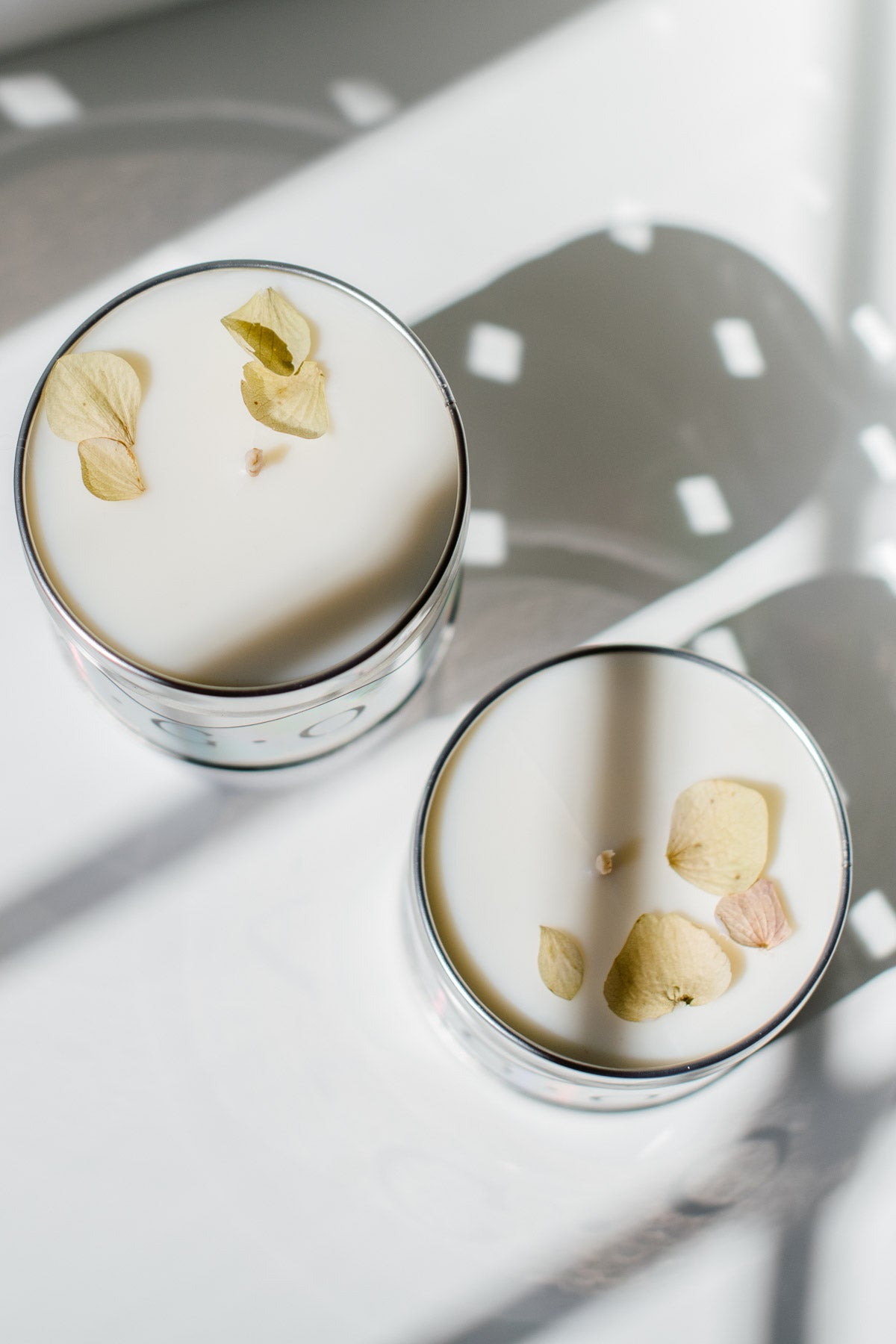 🕯️ Candela L • A • G • O – La Calathea