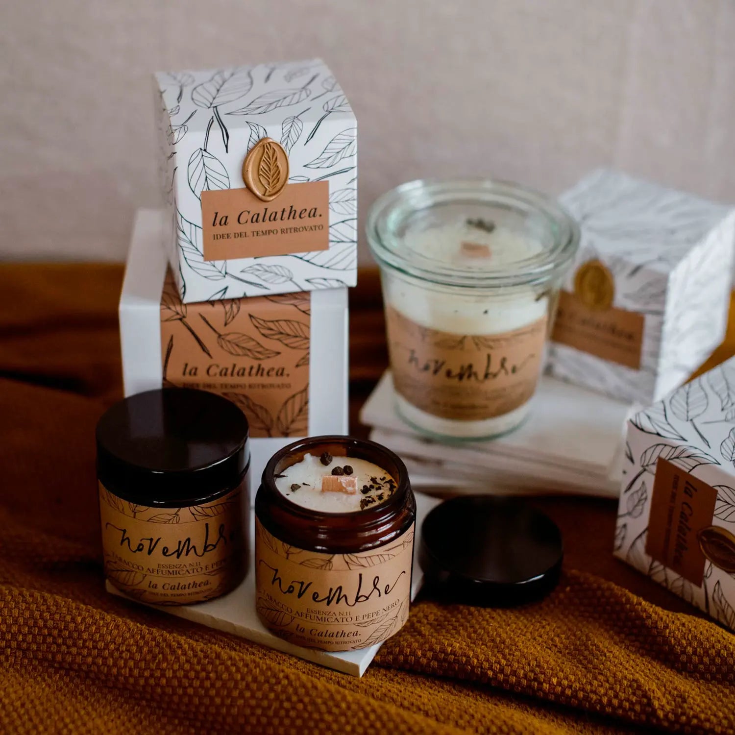 candela novembre la calathea